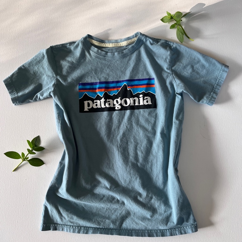 Patagonia Blue Crew Neck Short Sleeve Tee